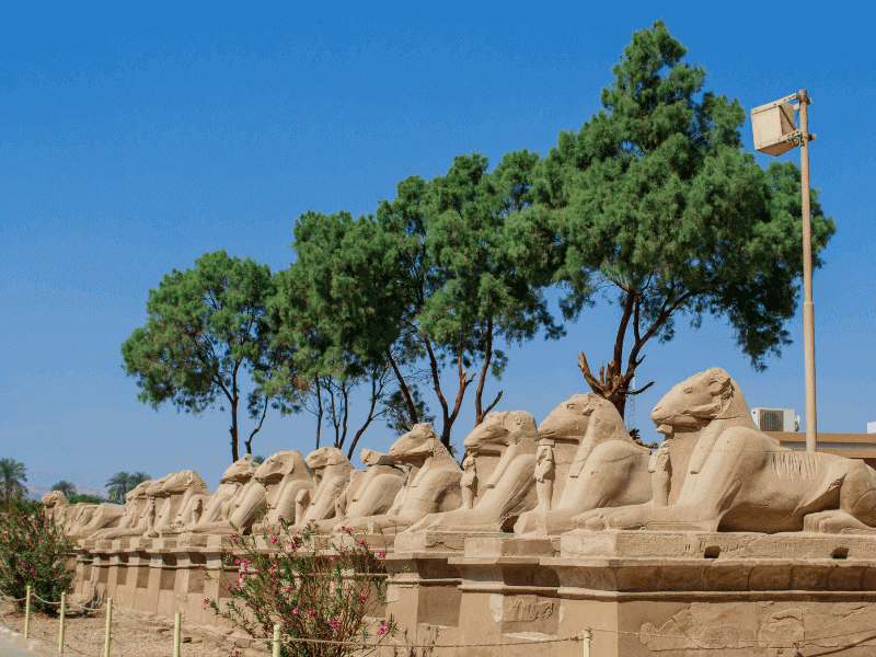 Luxor Tagesausflug & Heißluftballonfahrt ab Makadi bay